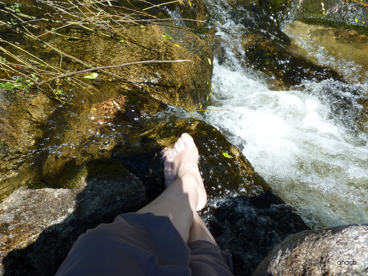 Ribeiro da Paradela (Tua), Junho 2016