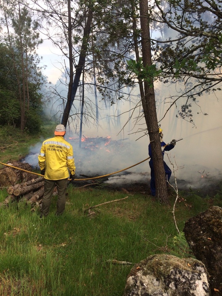 imgpsh_fullsize (2).jpg