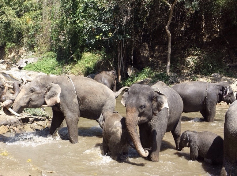 20140308-150826.jpg 20140308-150826.jpg