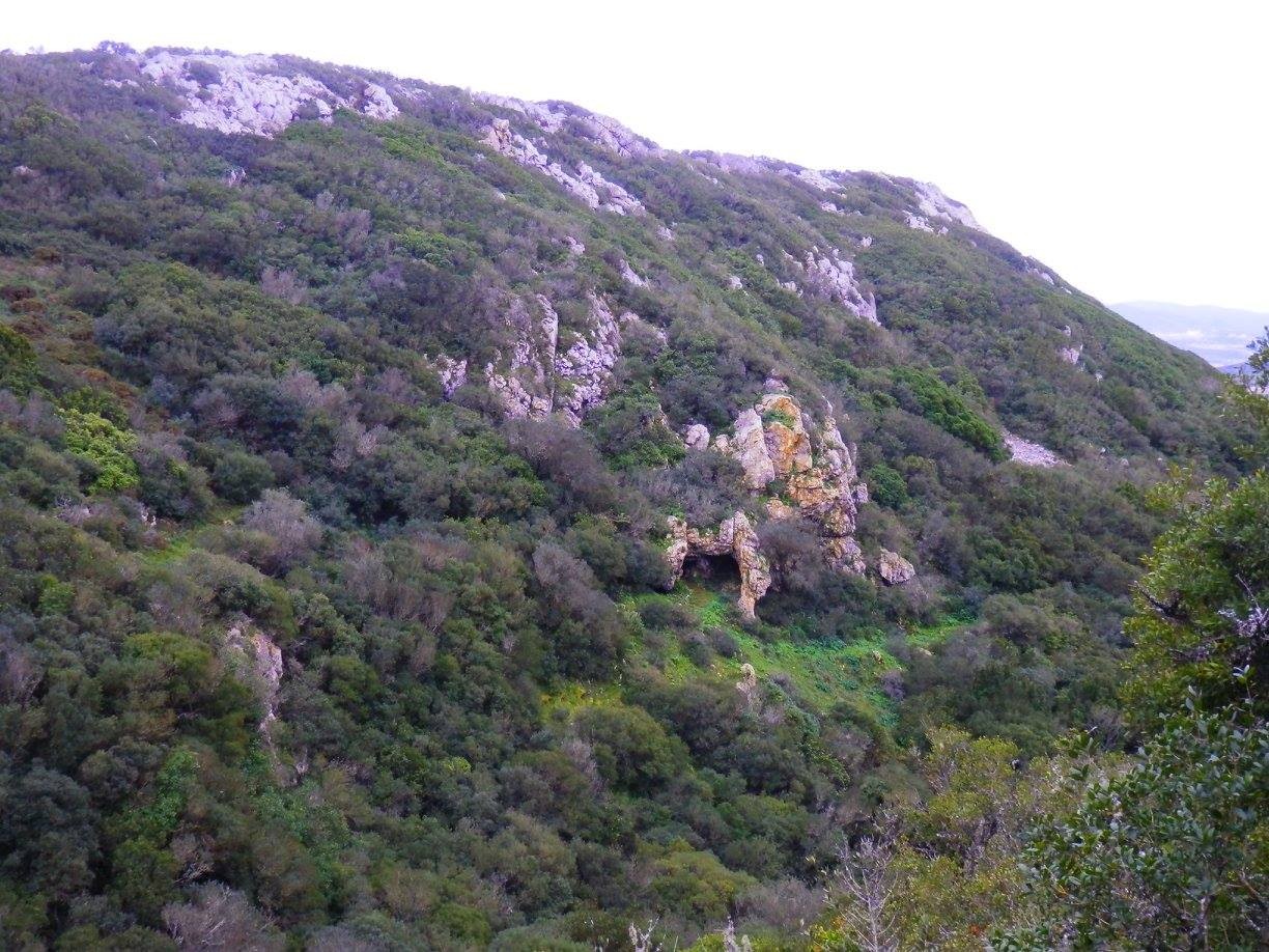 12622427_1110587782286145_5769512770852035132_o.jp