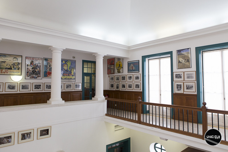 ANIM-6469.jpg ANIM-6469.jpg