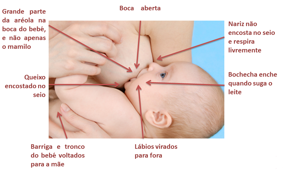 Pega correta amamentação.png Pega correta amamentação.png