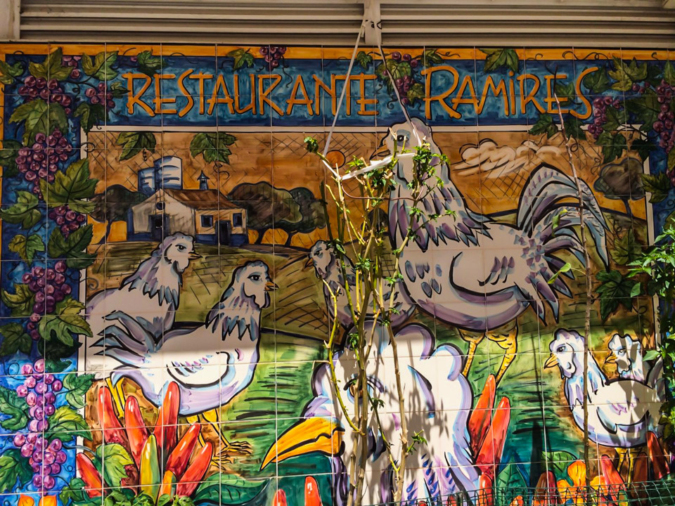 IMG-20160426-WA0006.jpg IMG-20160426-WA0006.jpg