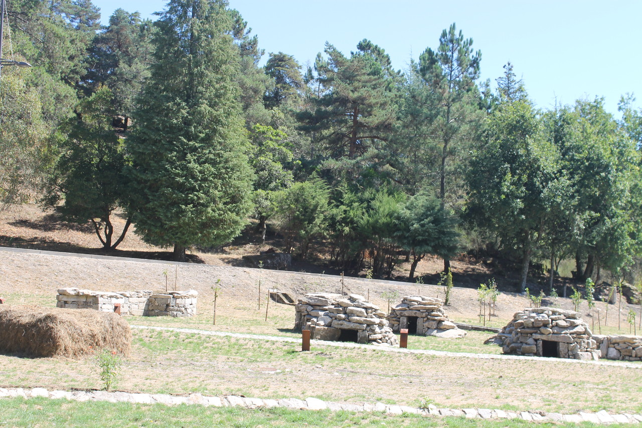 IMG_8687.JPG IMG_8687.JPG