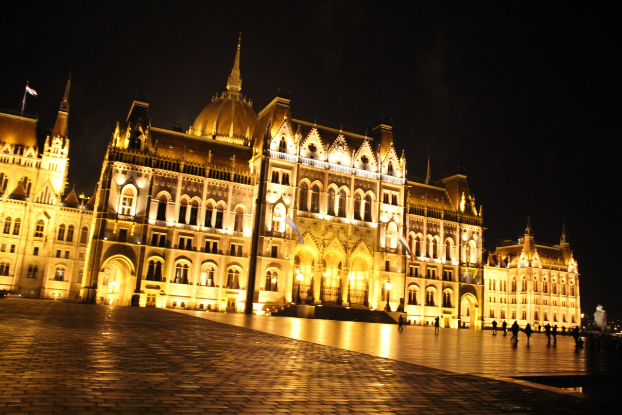 IMG_2233.JPG IMG_2233.JPG