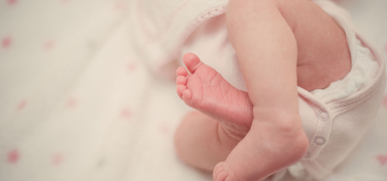 © o Diário de Katja