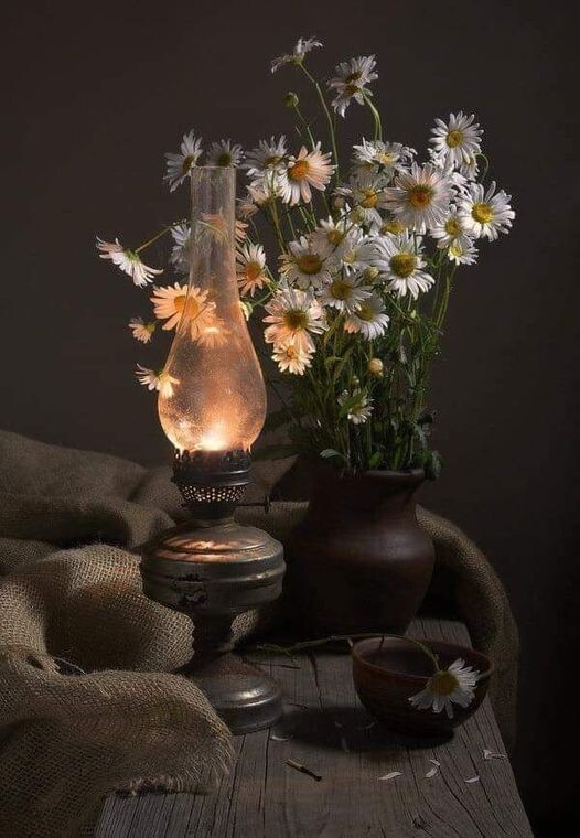 457497981_846758360886946_8124061217260498581_n.jp