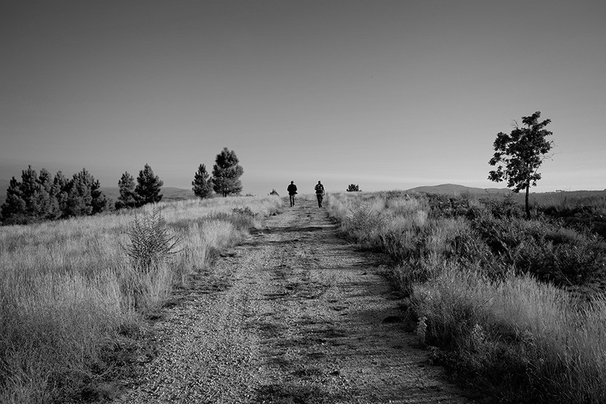 DSCF5201 - cópia copy.jpg