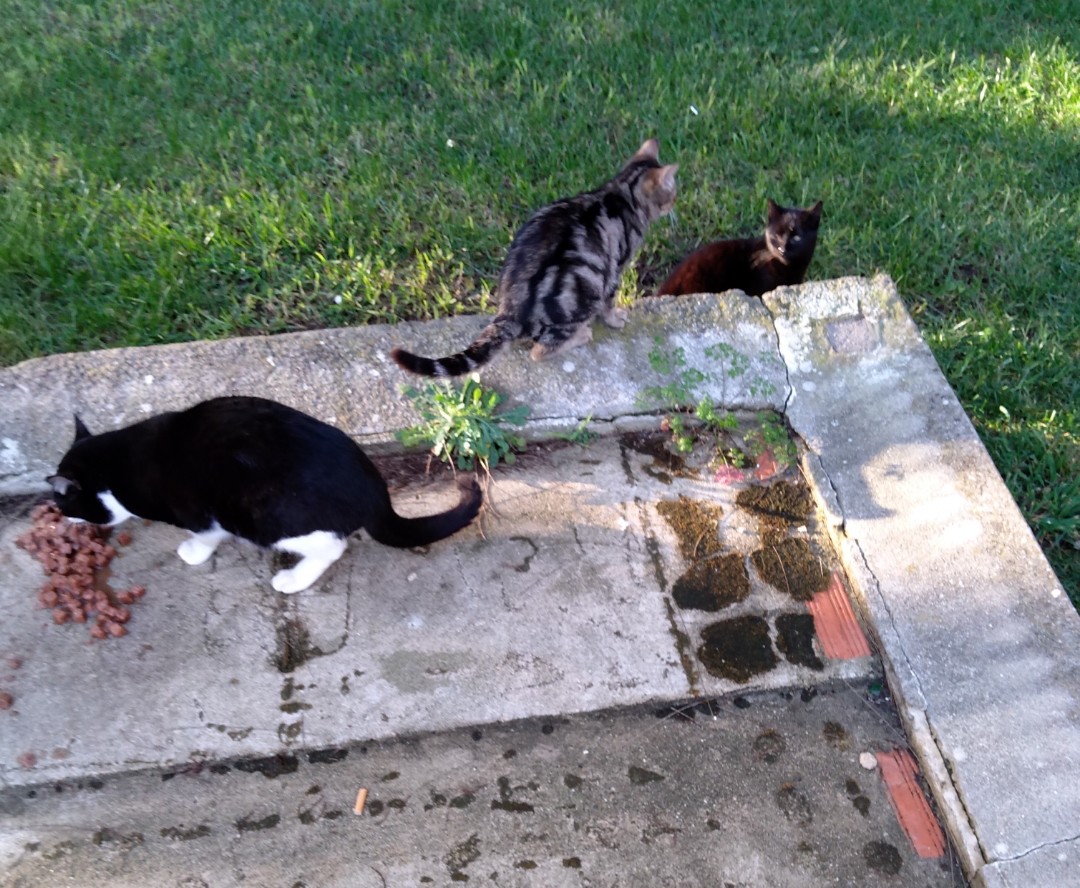 SquarePic_20200115_16252366.jpg SquarePic_20200115_16252366.jpg