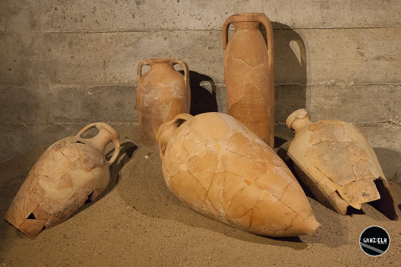 _MG_9744-26.jpg _MG_9744-26.jpg