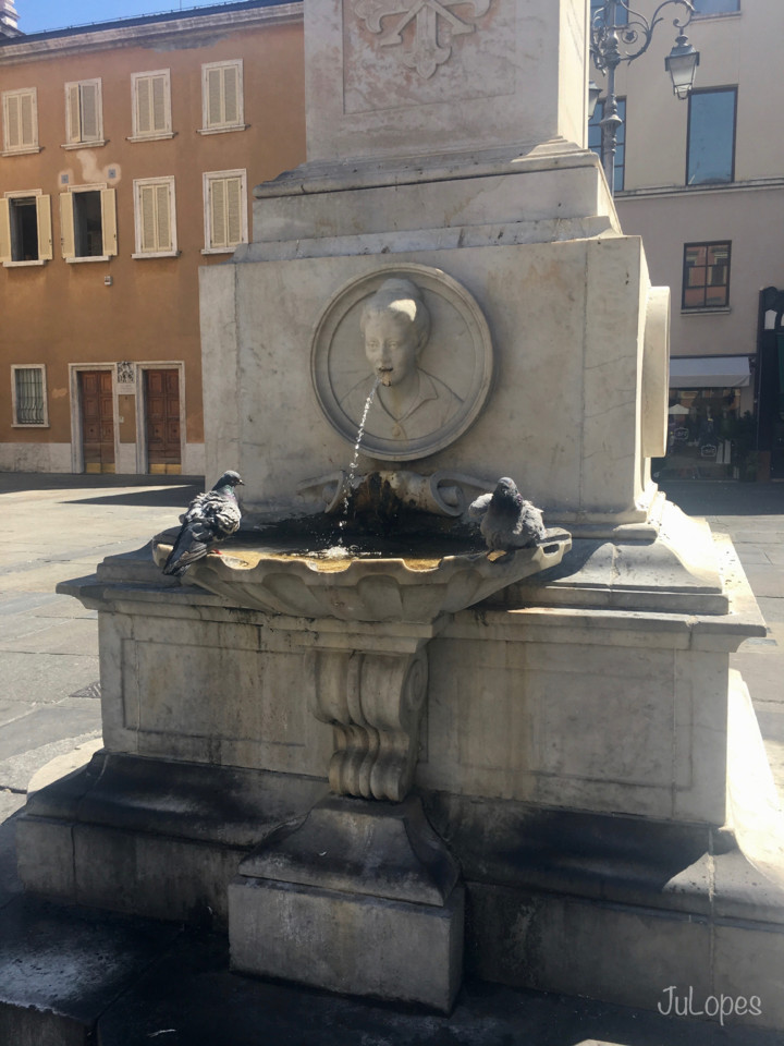 IMG_6661.jpg IMG_6661.jpg