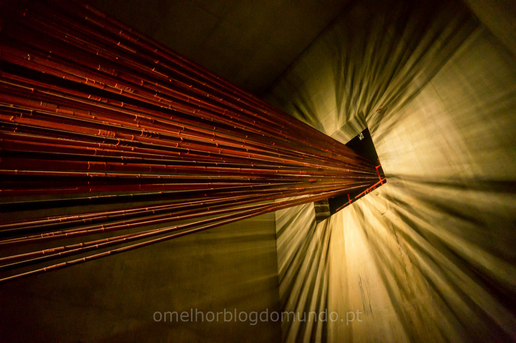 Omelhorblogdomundo (6).jpg