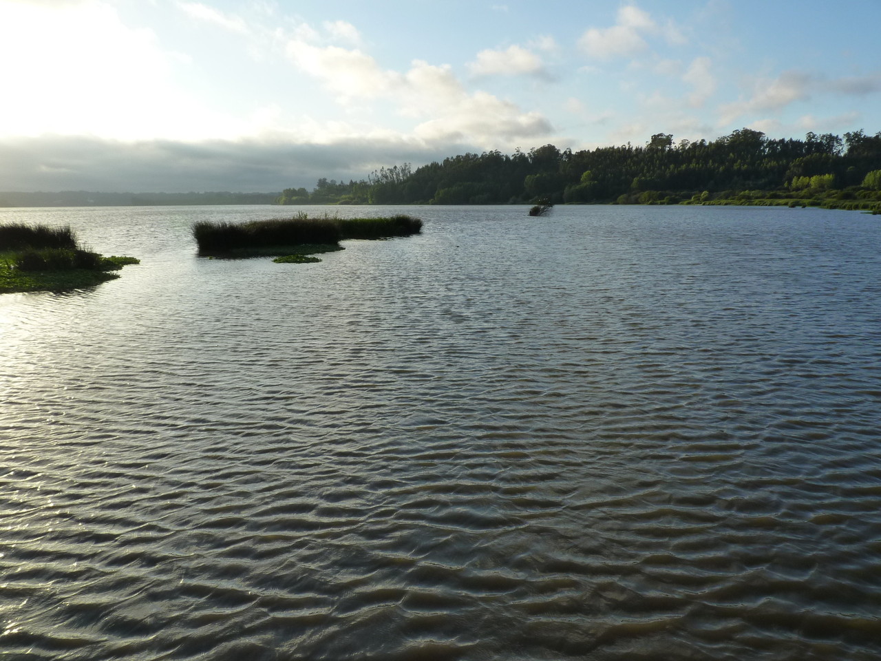 Pateira de Fermentelos (11).JPG