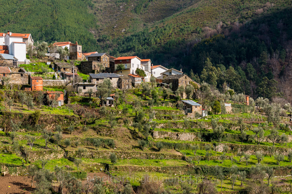 _DSC5386.jpg _DSC5386.jpg