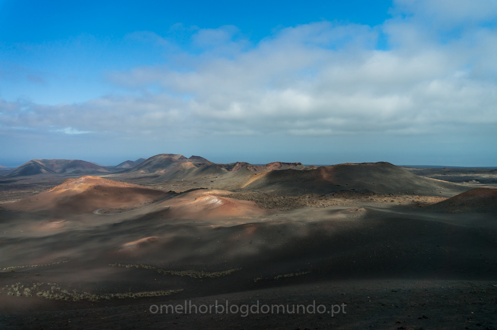 _DSC7381.jpg _DSC7381.jpg