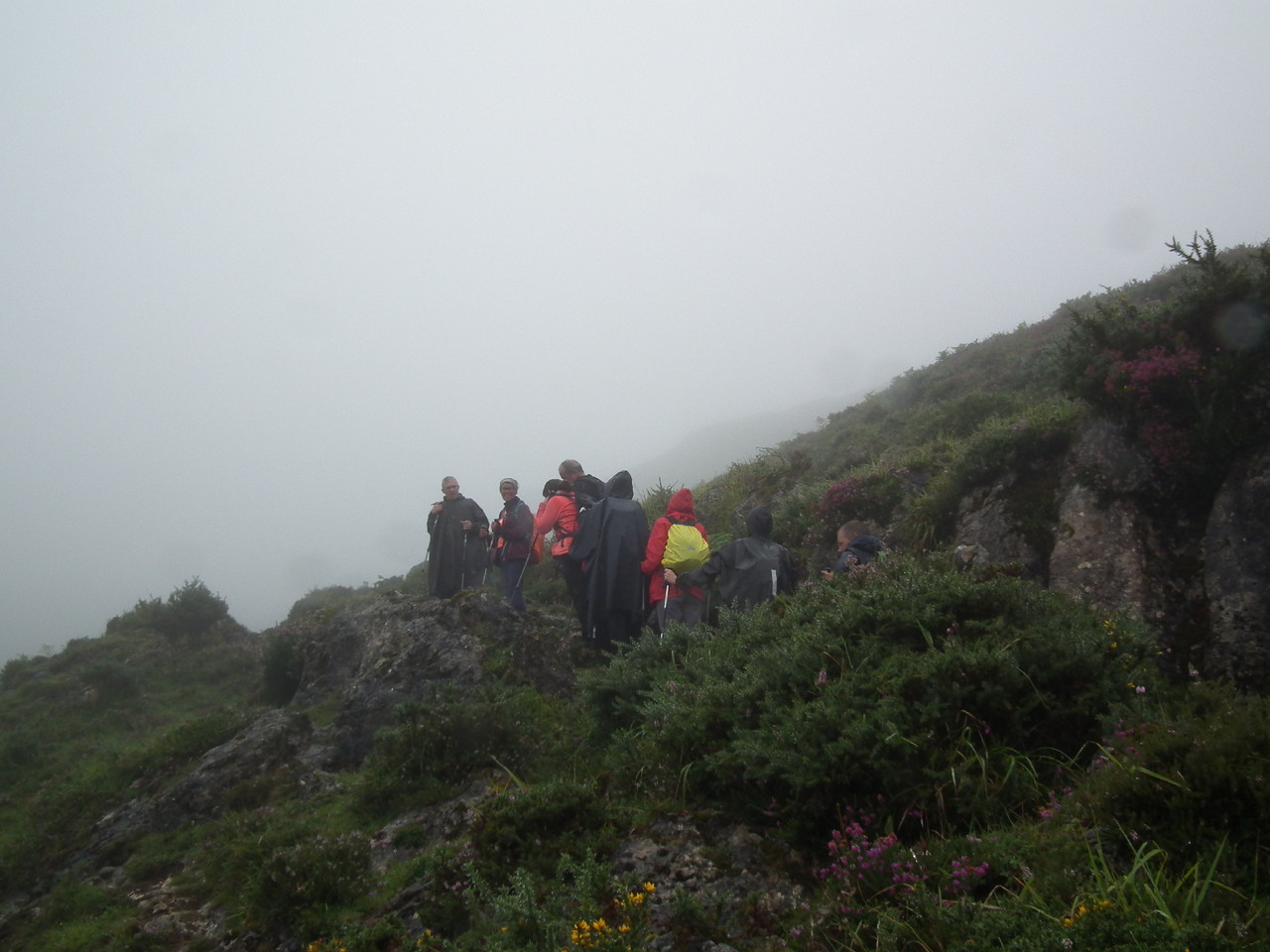 DSCF2983.JPG DSCF2983.JPG