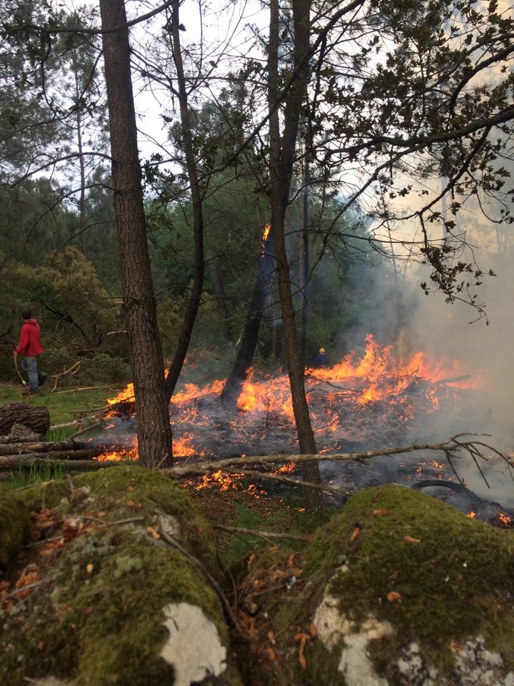 imgpsh_fullsize (10).jpg