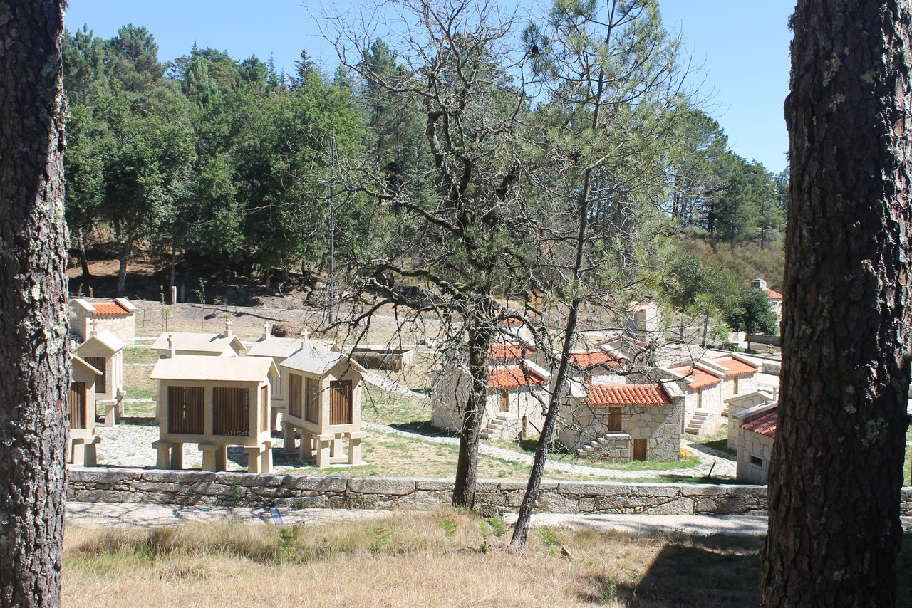 IMG_8691.JPG IMG_8691.JPG