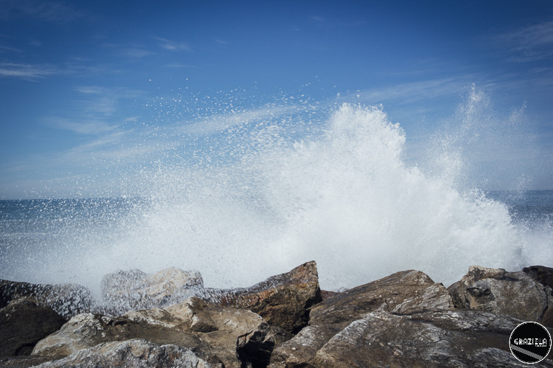 Espinho_Pequenas-8276.JPG Espinho_Pequenas-8276.JPG