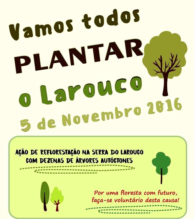 PLANTAR O LAROUCO (5 Novembro).jpg