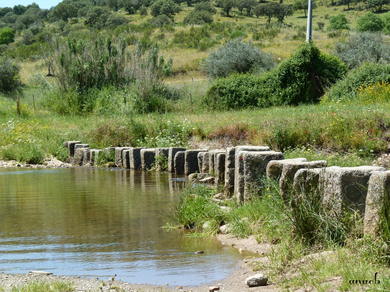 Idanha-a-Velha (87) Poldras.jpg