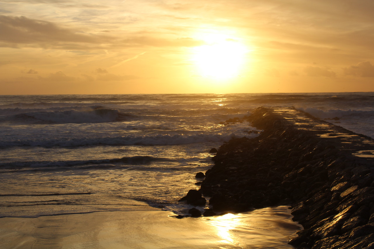 IMG_0198.JPG IMG_0198.JPG