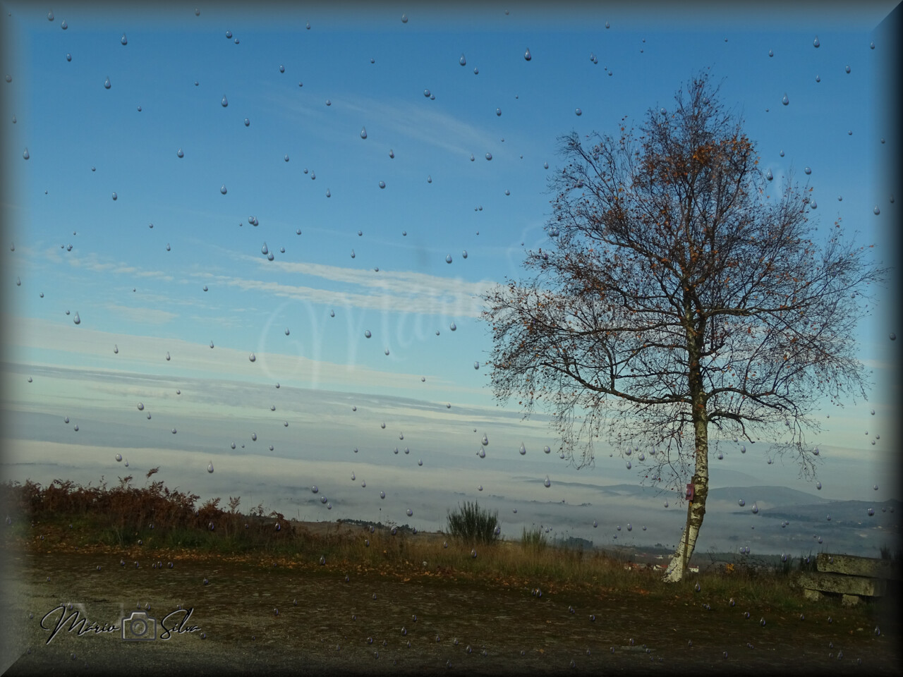 05 DSC03337_ms_marca d'água.jpg