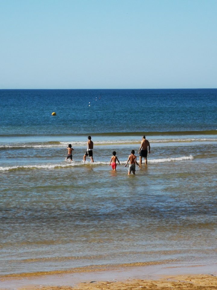 IMG_20200704_093444.jpg IMG_20200704_093444.jpg