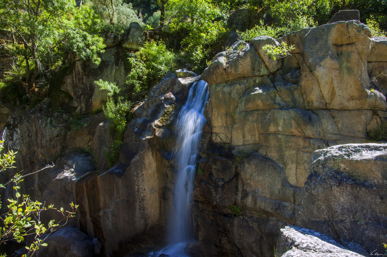 1600-misarela (51).jpg