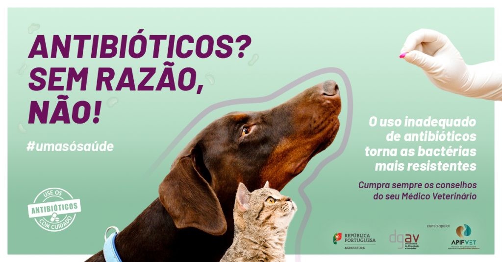 DGAV-antibiótico-1024x536.jpg