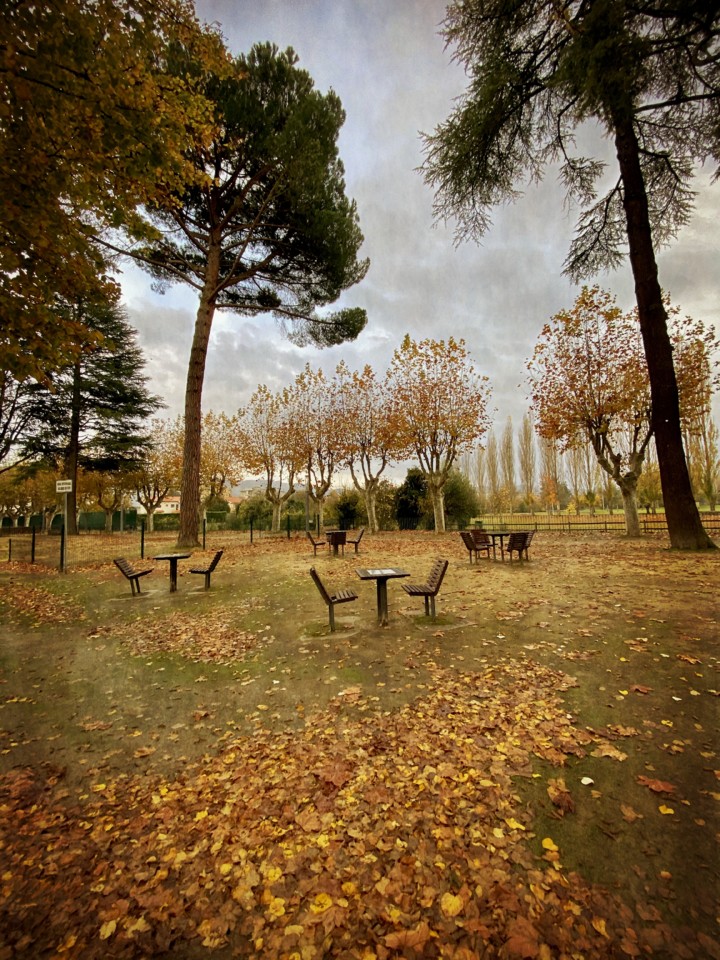 IMG_2914 - cópia.jpg