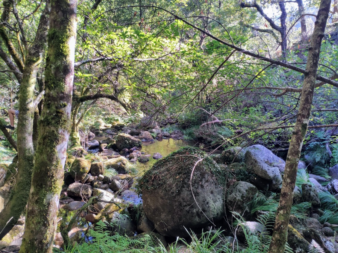 Parte final do trilho.jpg