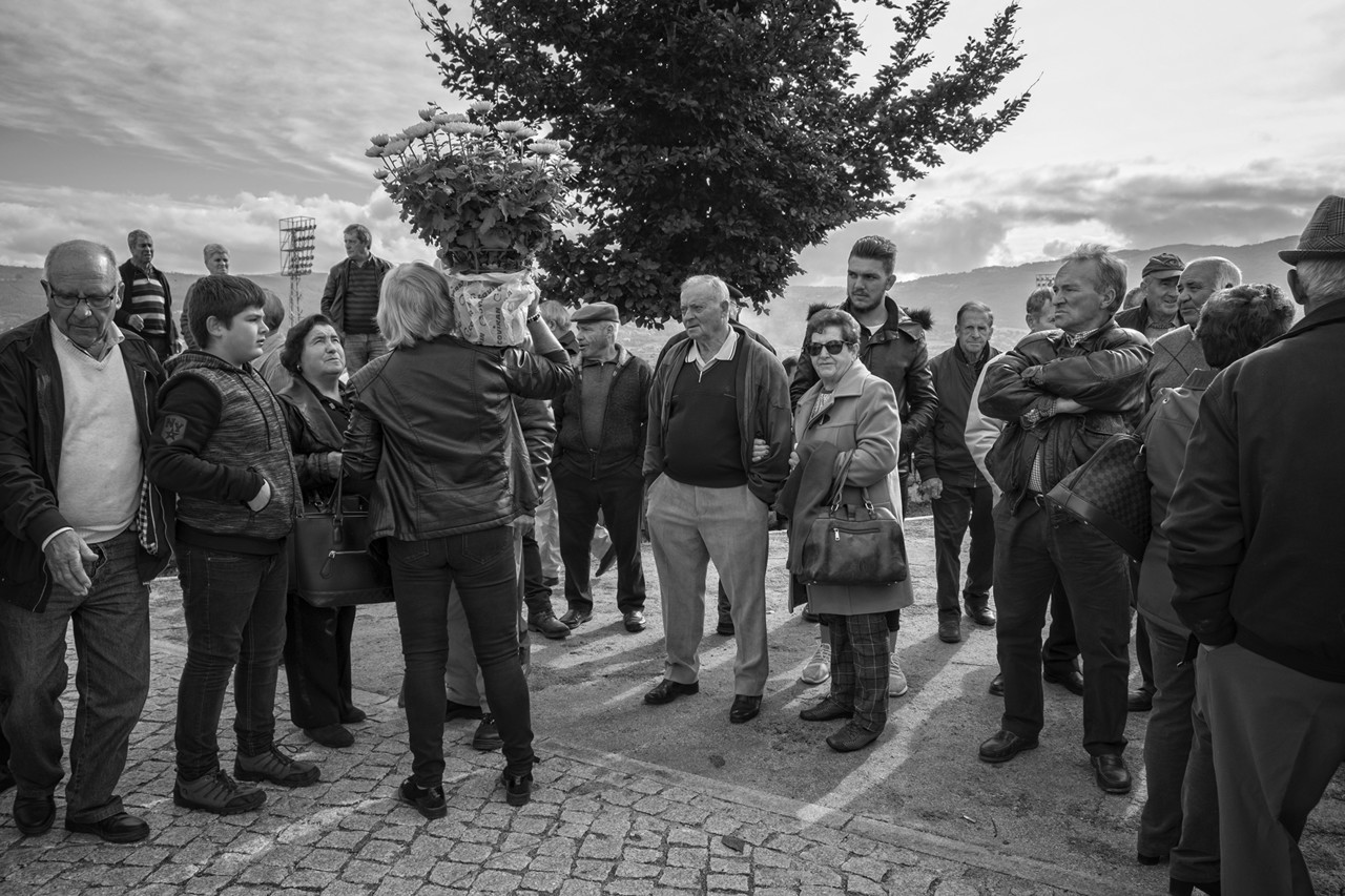 DSCF5494 - cópia copy.jpg