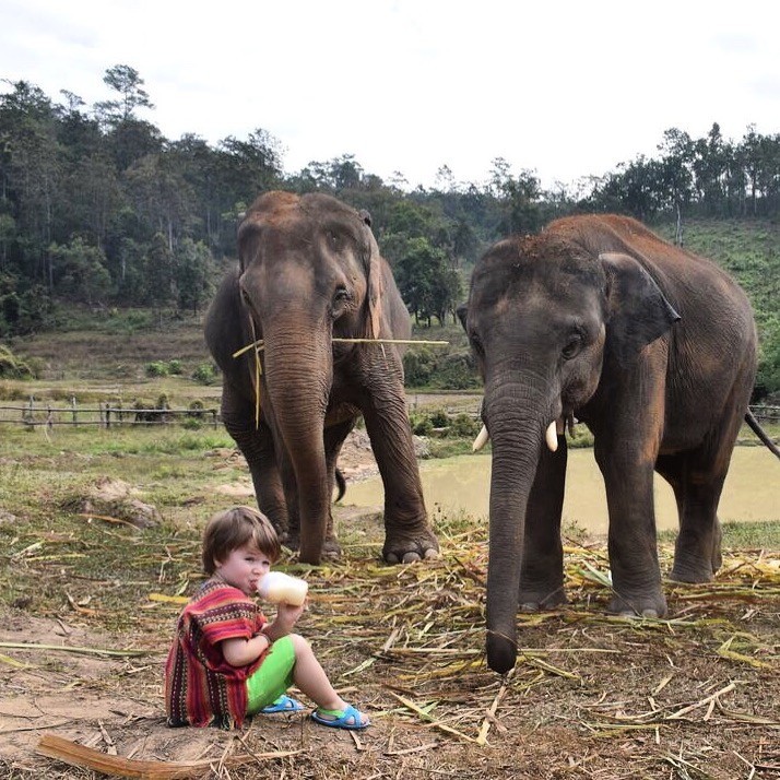 IMG_0943.JPG IMG_0943.JPG