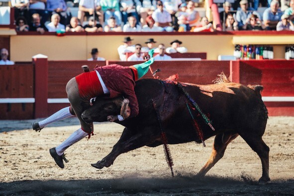 3-Pega de Bernardo Dentinho do Grupo de Montemor.j