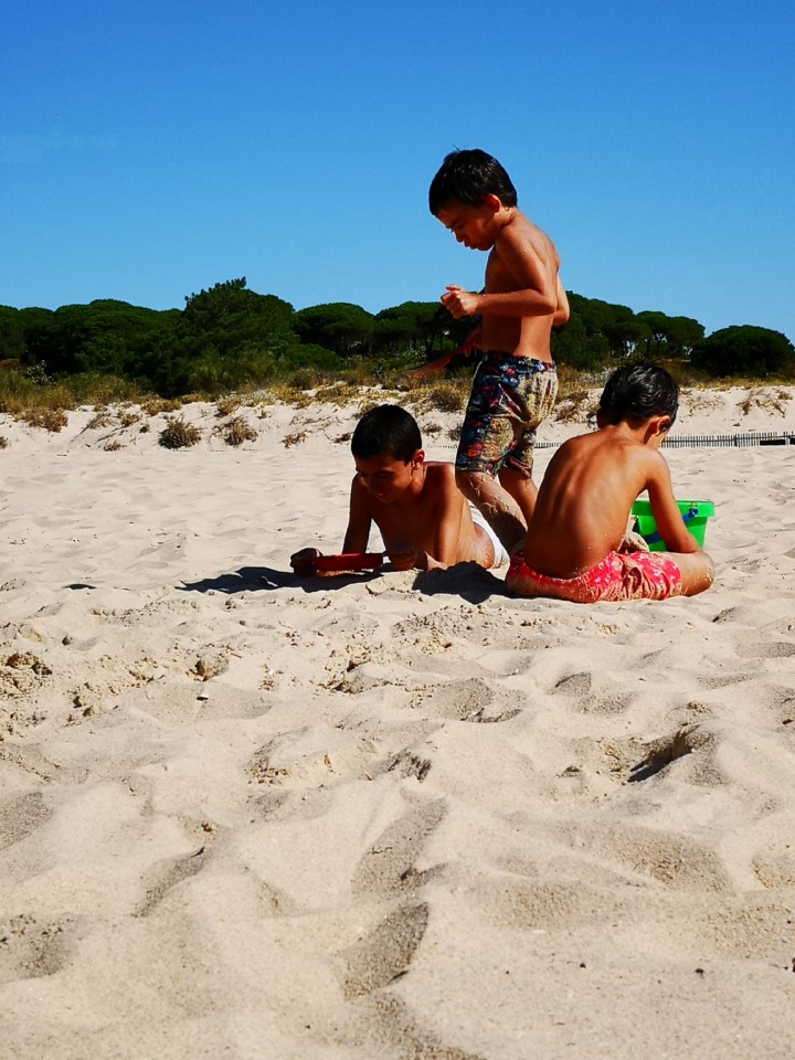 IMG_20200704_100104.jpg IMG_20200704_100104.jpg