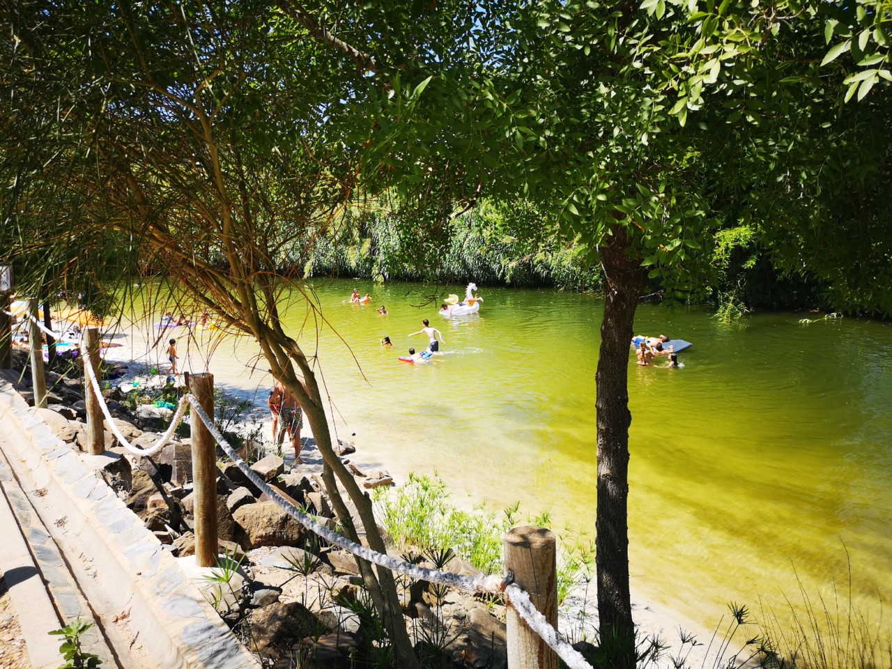 IMG_20190804_122128.jpg IMG_20190804_122128.jpg