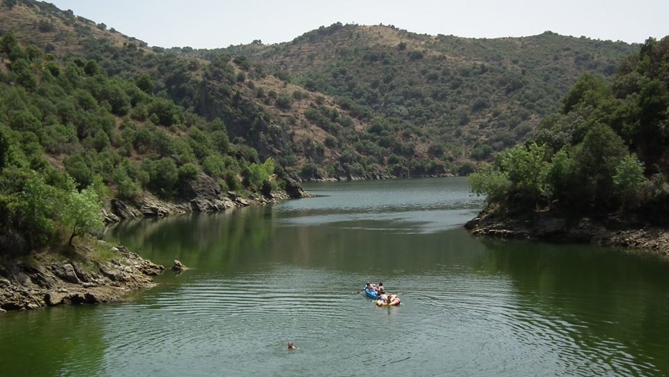 38509677_2271809882861112_7724518726468370432_n.jp