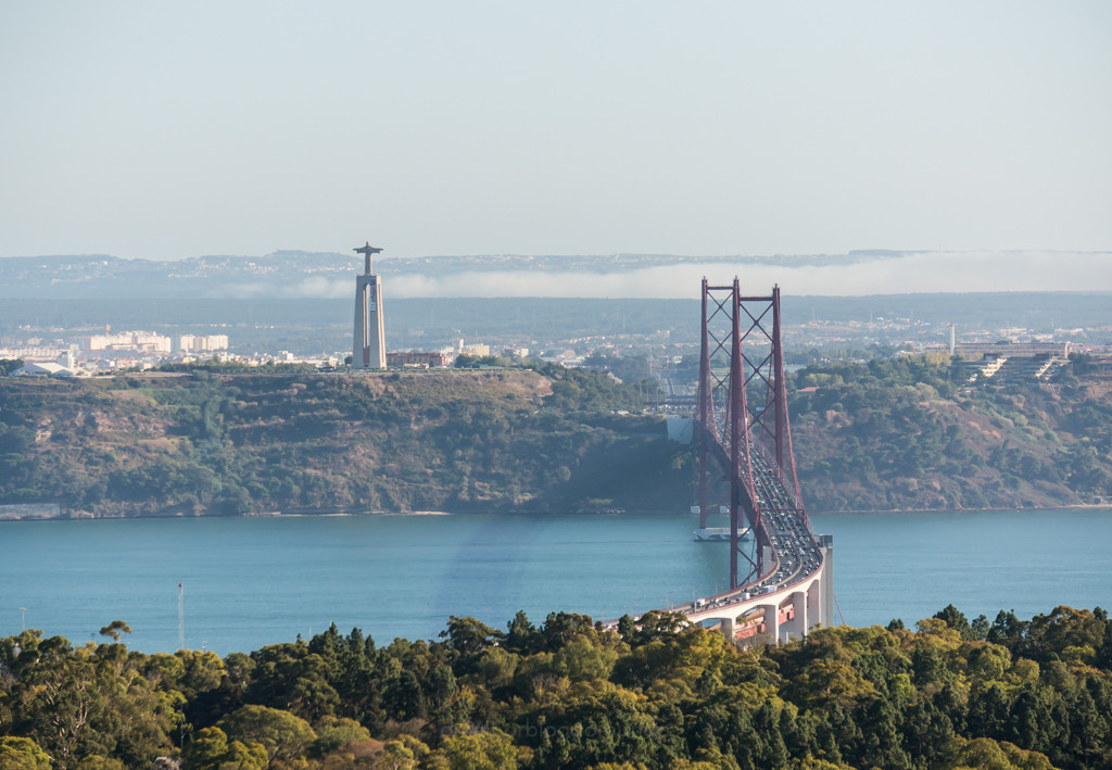 DSC02186.jpg DSC02186.jpg