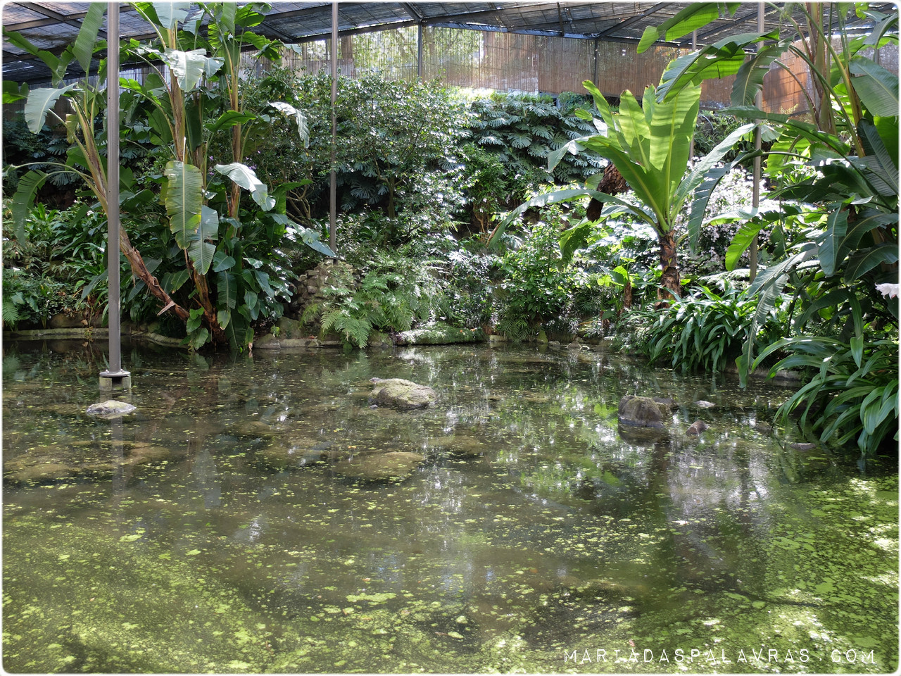 estufafria8.jpg estufafria8.jpg