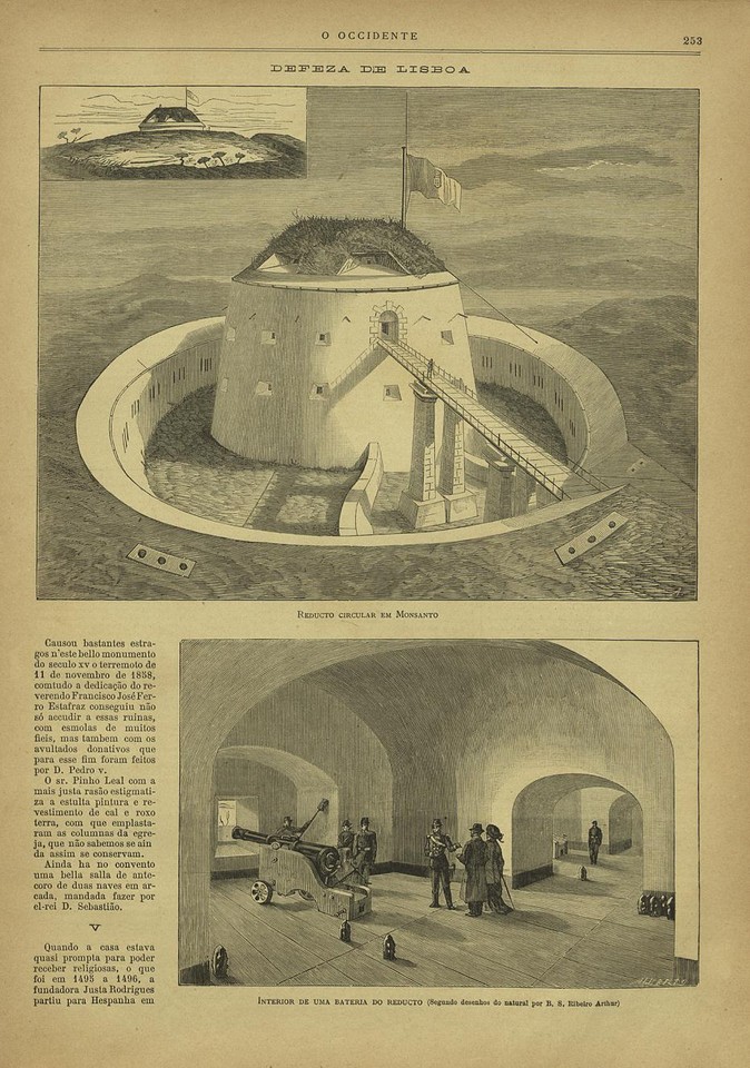 N104_0005_branca_t0.jpg N104_0005_branca_t0.jpg