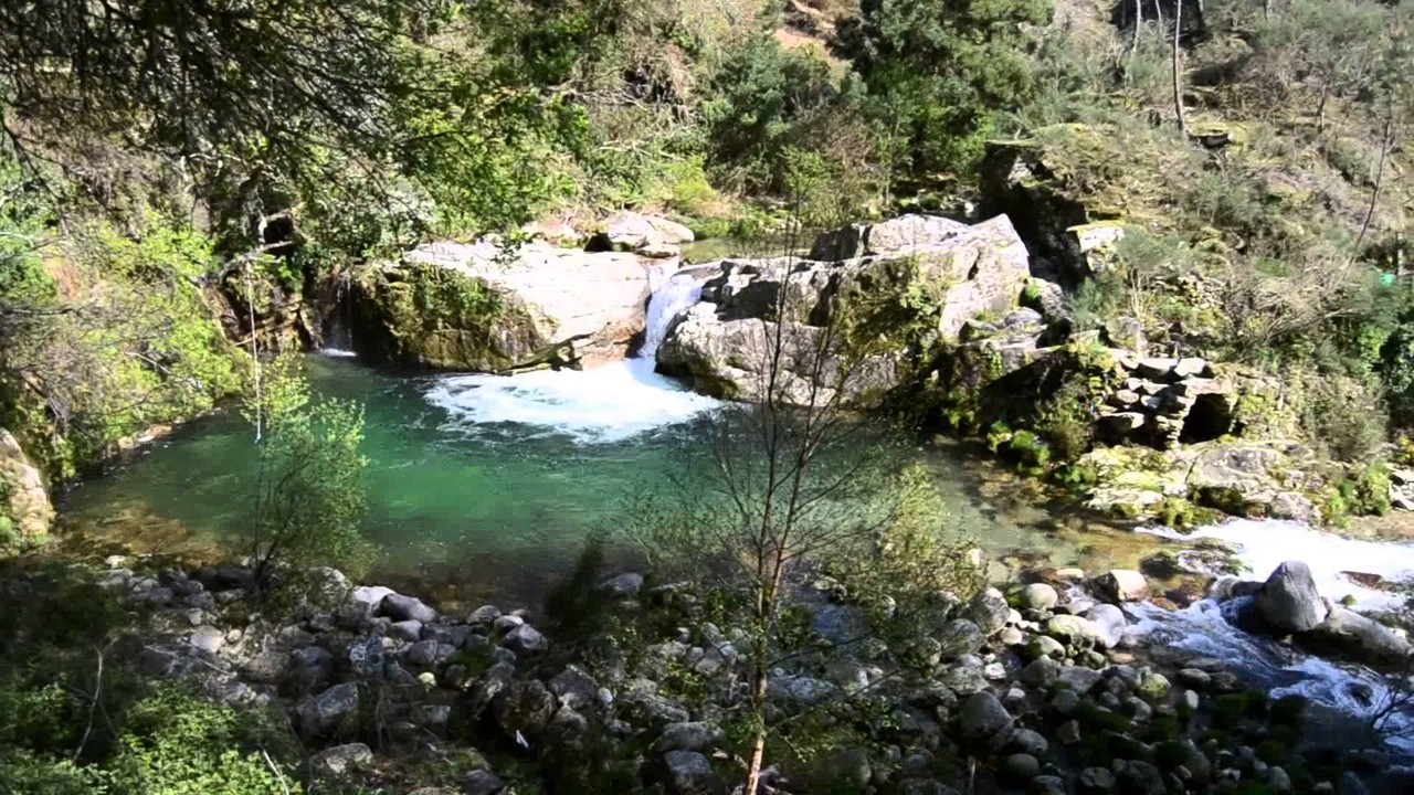 maxresdefault.jpg maxresdefault.jpg