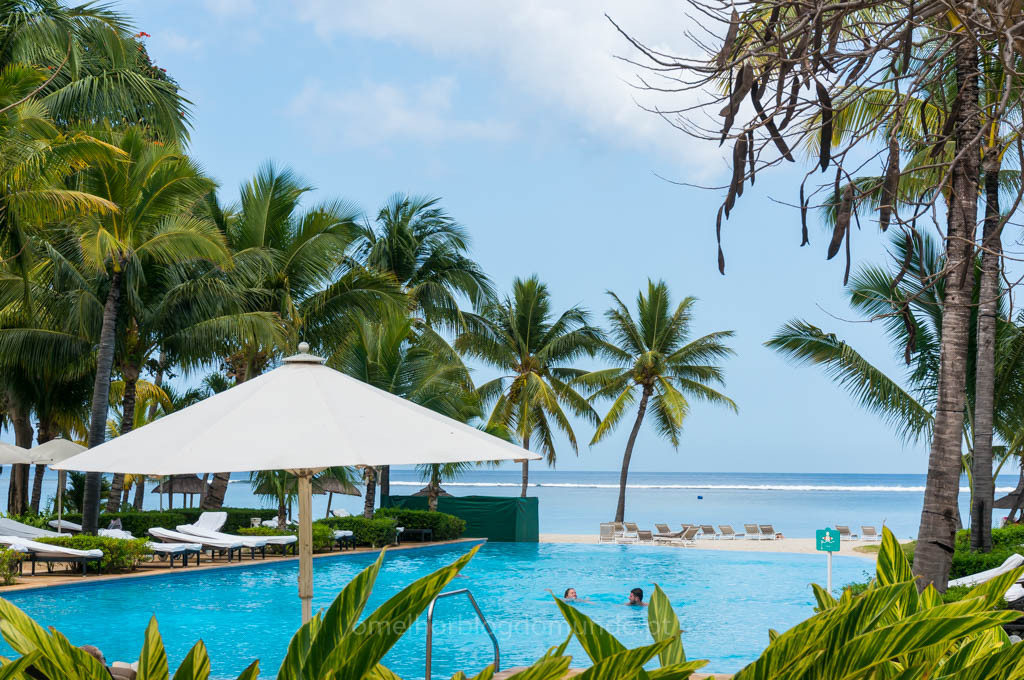 DSC01853.jpg DSC01853.jpg