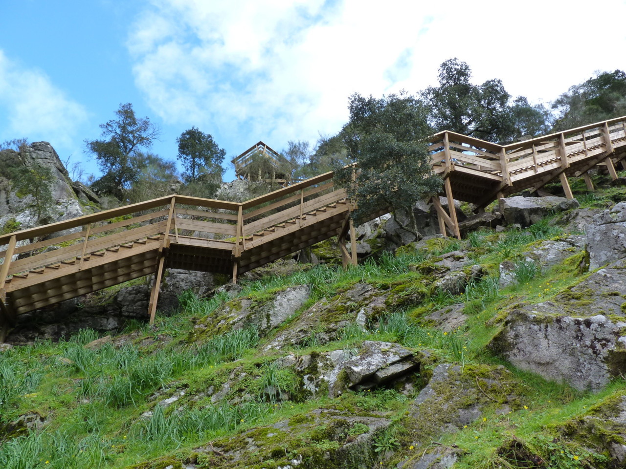 Paiva (4).JPG Paiva (4).JPG