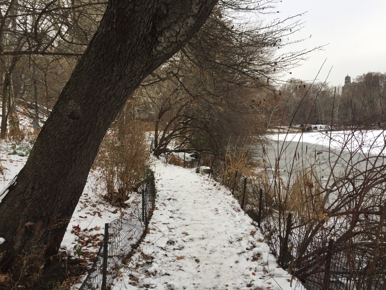 IMG_8522.JPG IMG_8522.JPG