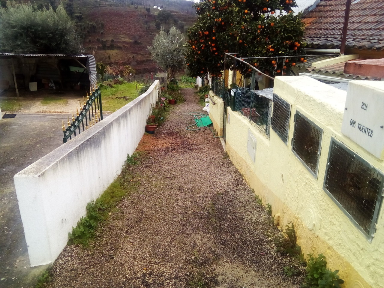 IMG_20190129_113714.jpg IMG_20190129_113714.jpg