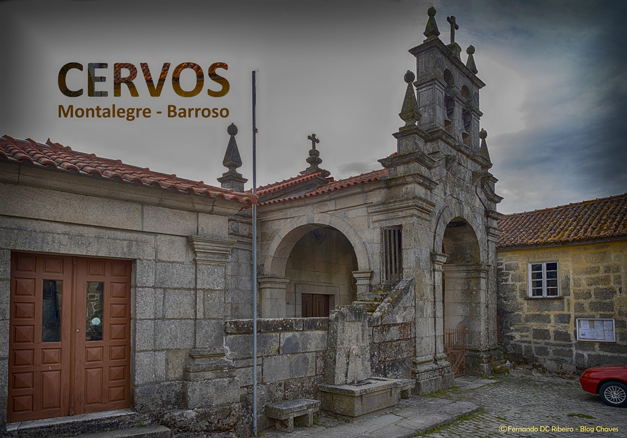 1600-cervos (8)-video.jpg