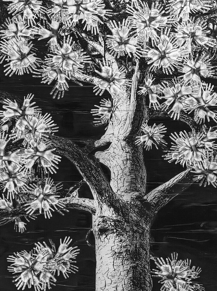 imgi_15_participatory-tree-scanned-hands-jr-montpe