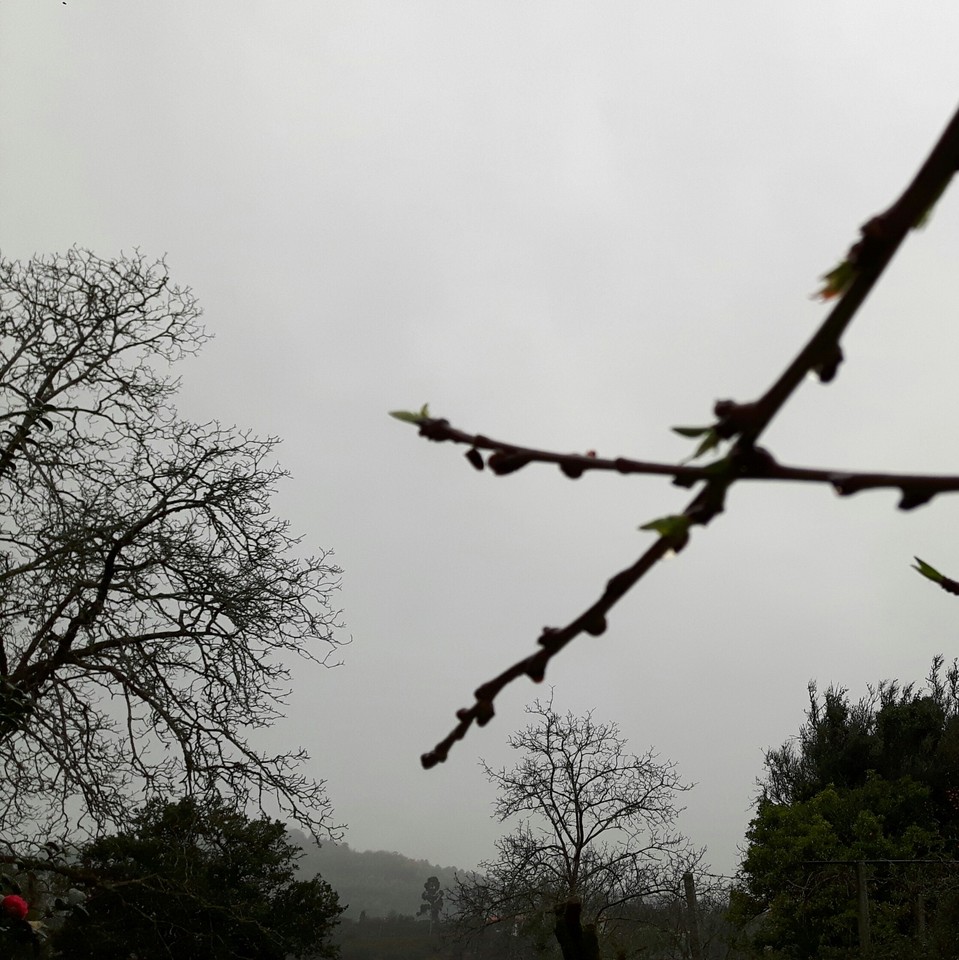 20170227_091043-1.jpg 20170227_091043-1.jpg