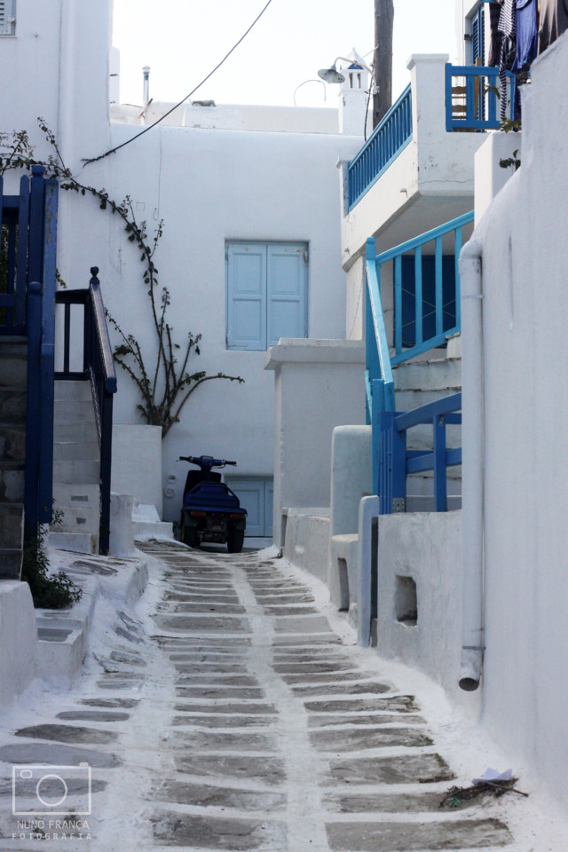 IMG_5817_net.jpg IMG_5817_net.jpg